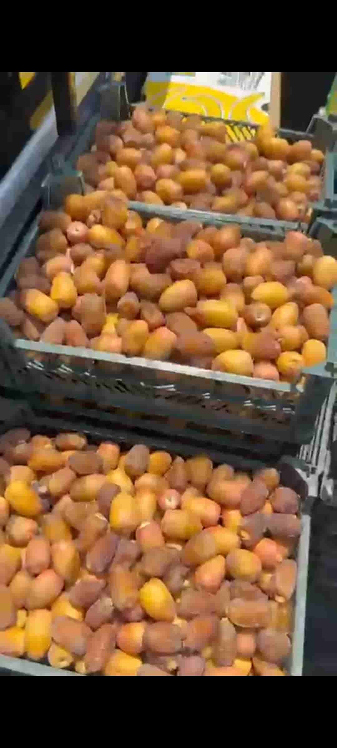 تصویر 1 از خرما اهواز قیمت با تخفیف
