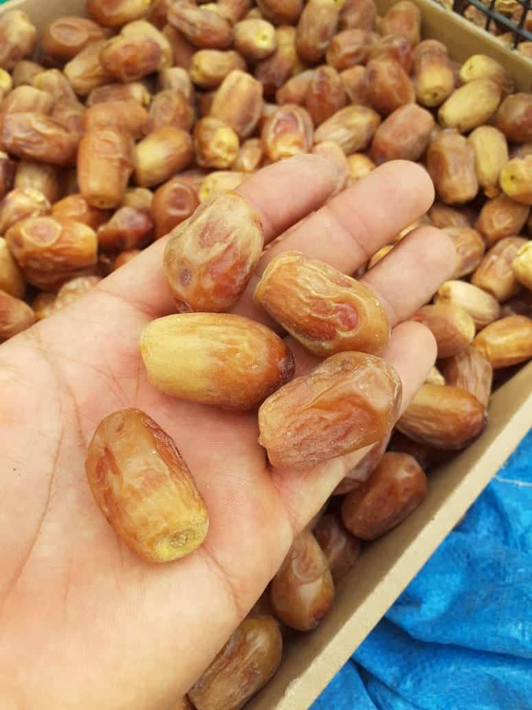 تصویر 1 از فروش و قیمت عمده خرما زاهدی درجه یک