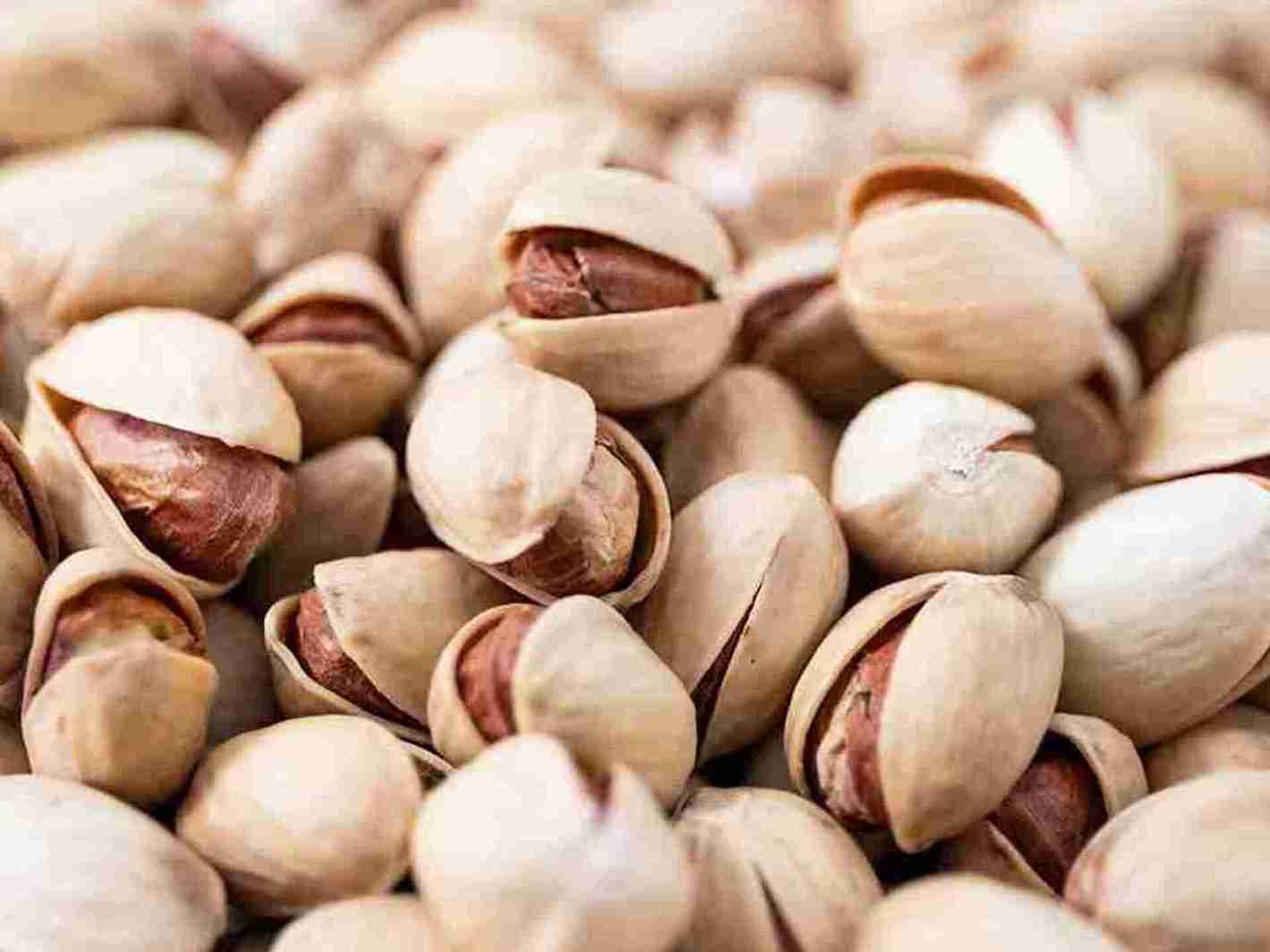 تصویر 1 از خرید عمده پسته احمد آقایی + قیمت ویژه