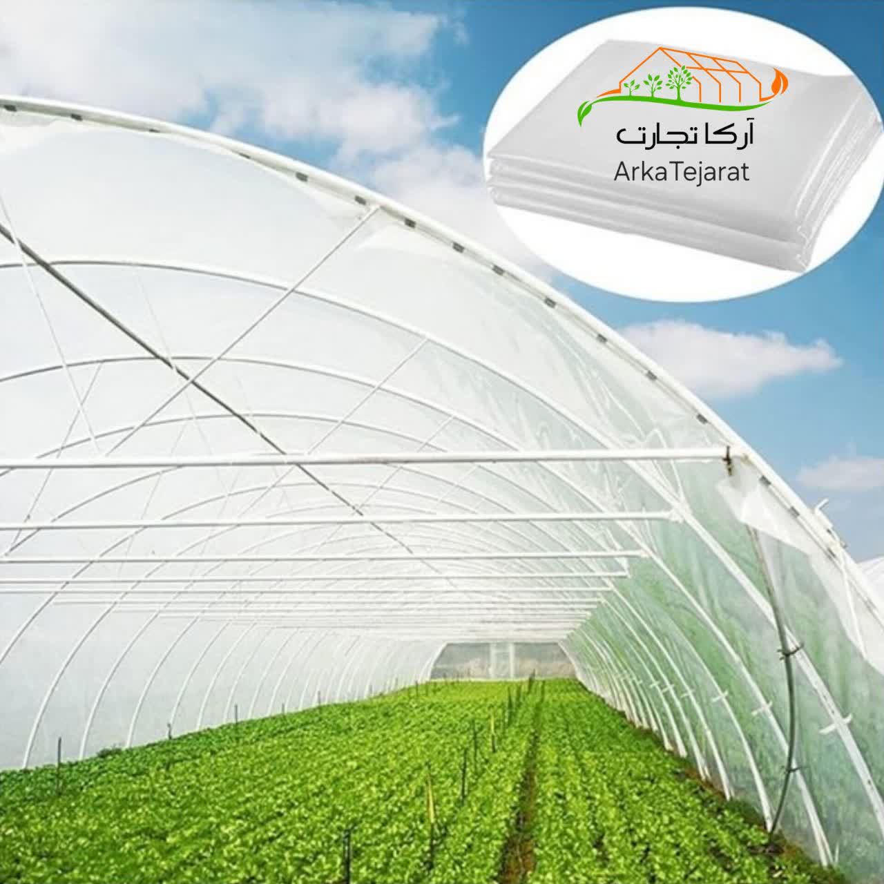 تصویر 1 از خرید نایلون گلخانه پرشین با عرض ۱۰ + به قیمت کارخانه