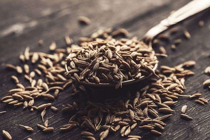 تصویر 2 از فروش ویژه زیره ایرانی با کیفیت صادراتی
