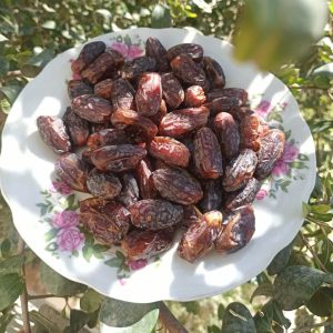 خرید خرما شهابی