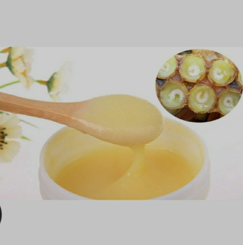 تصویر 3 از ژل رویال اصل درمانی صادراتی