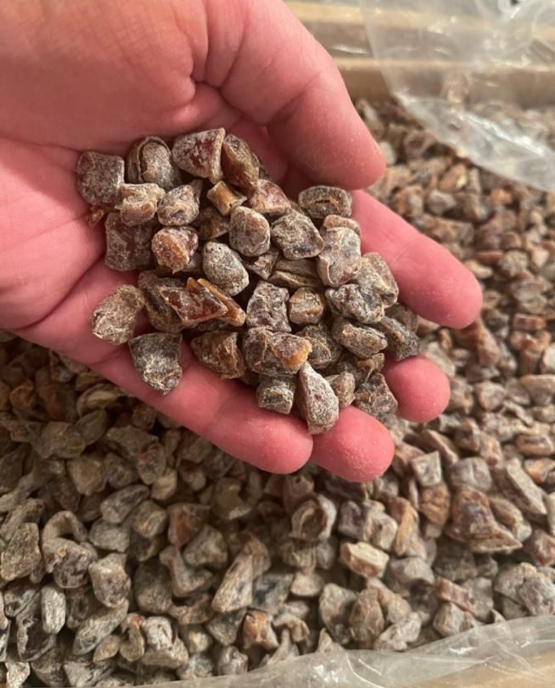 فروش عمده + چیپس خرما نرم و تازه استعمران
