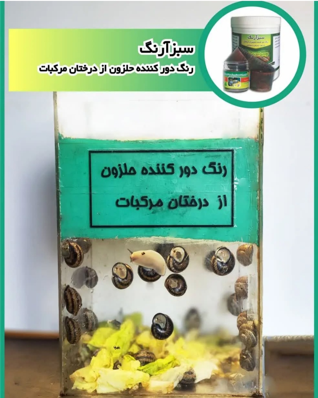تصویر 1 از رنگ دور کننده حلزون از درختان خرید