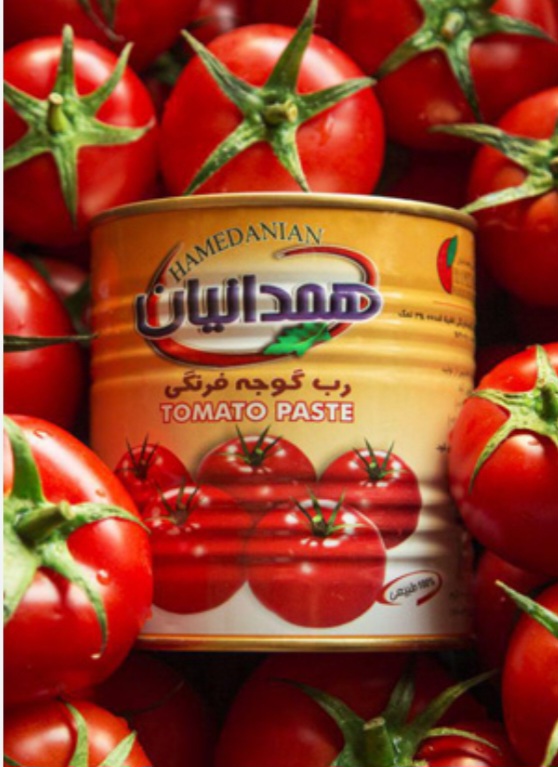 خرید رب گوجه 800 گرمی همدانیان با تخفیف