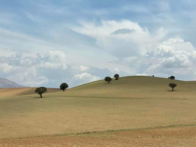 تصویر 3 از فروش معادن و مشاوره و تأمین خاک معدنی