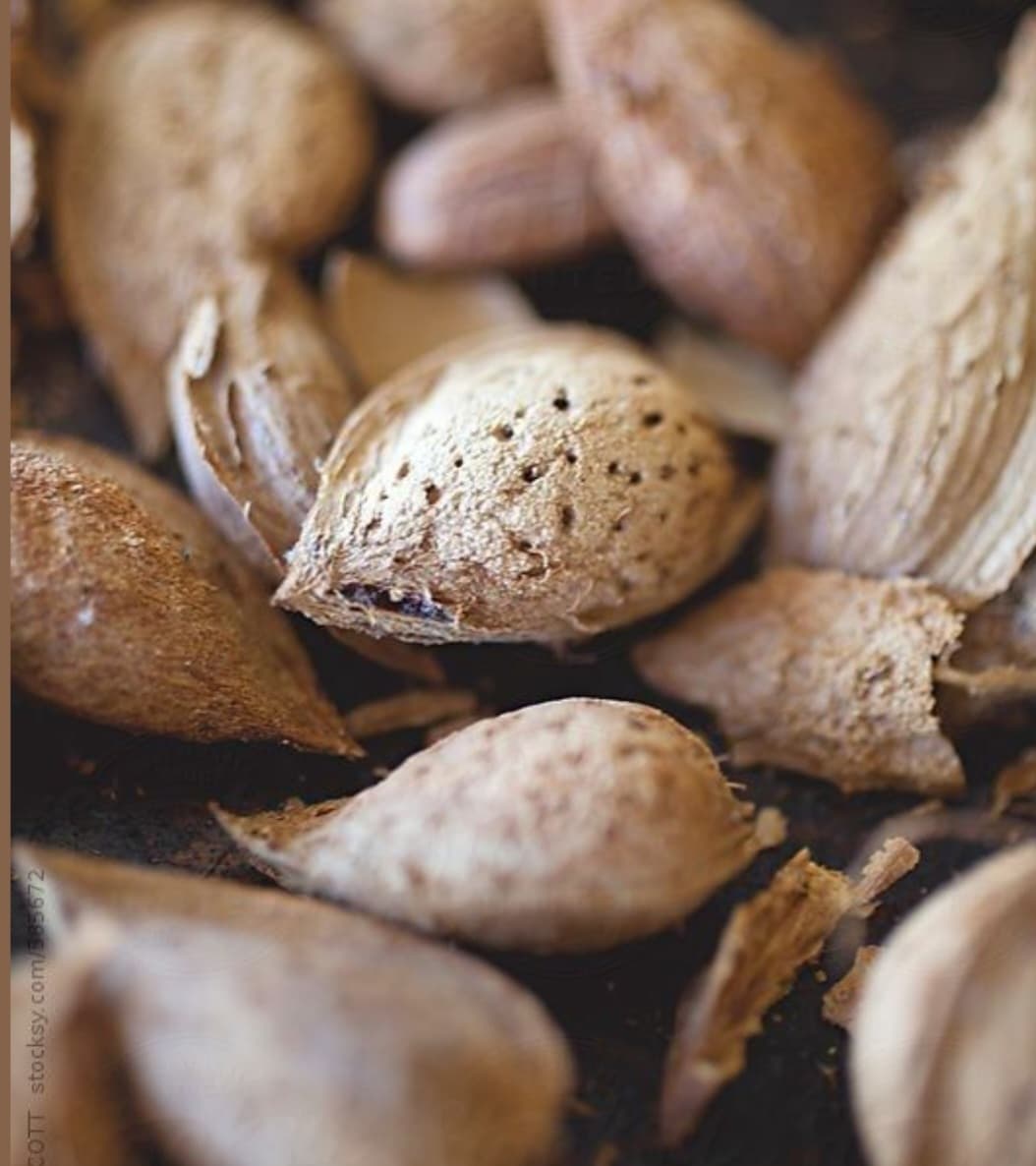 تصویر 1 از مغز بادام درختی
