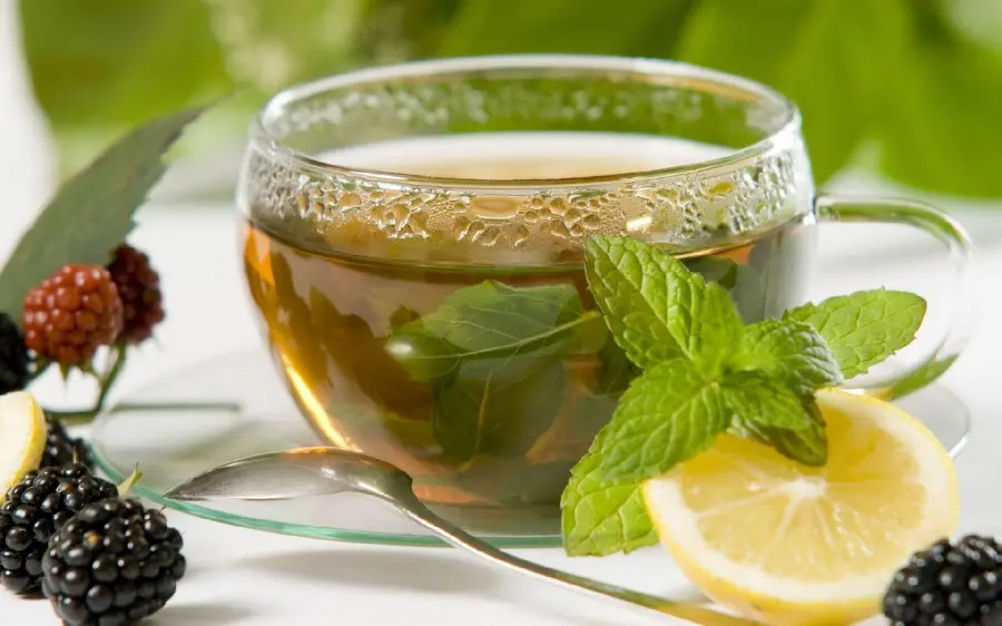 تصویر 2 از نعنا برگ عمده کازرون + خرید باور نکردنی