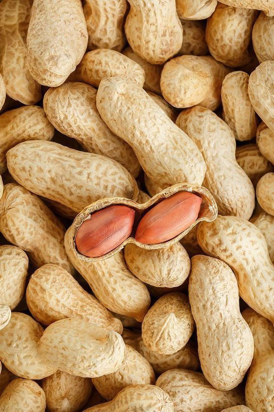 تصویر 1 از خشکبار بادام زمینی + قیمت عمده