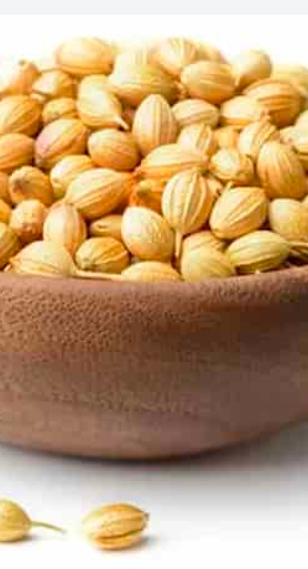 دان گشنیز عمده بی نقص را فقط از ما بخرید.