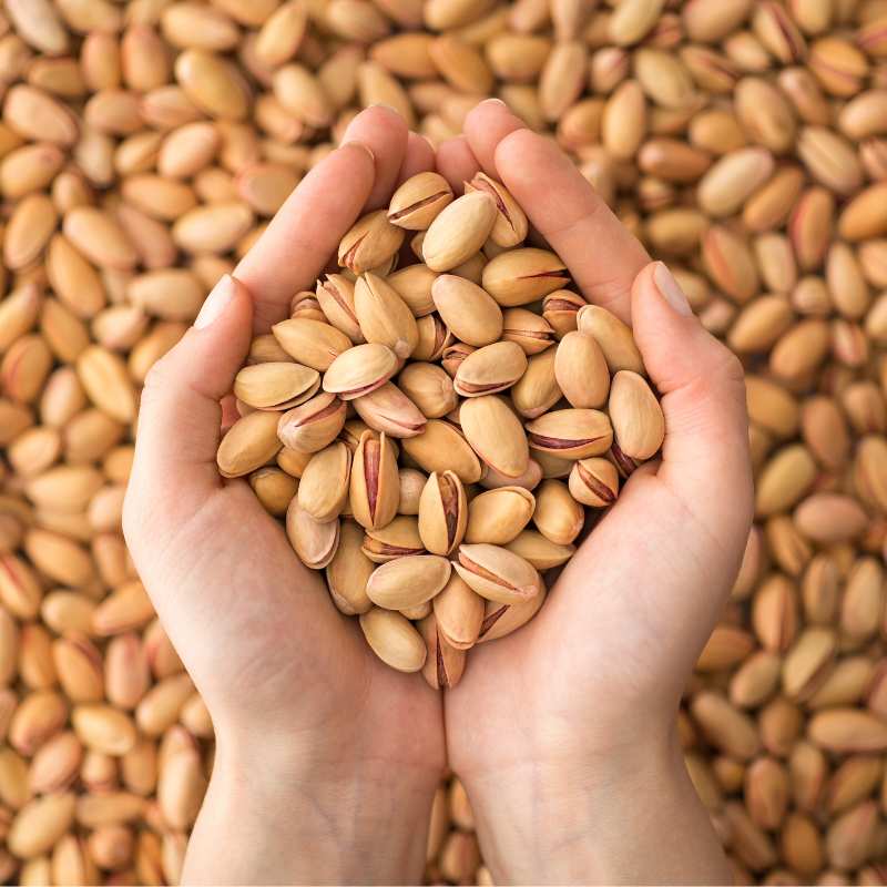 فروش عمده پسته اکبری صادراتی با قیمت روز