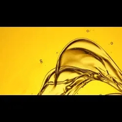تصویر 1 از قیمت فروش عمده روغن آفتابگردان خام گالن و فله + قیمت استثنایی