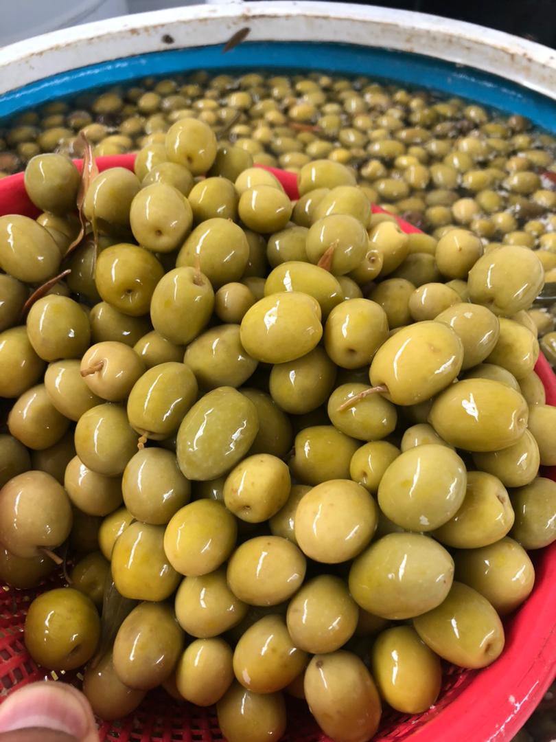 تصویر 2 از فروش زیتون فرآوری شده کنسروی طارم