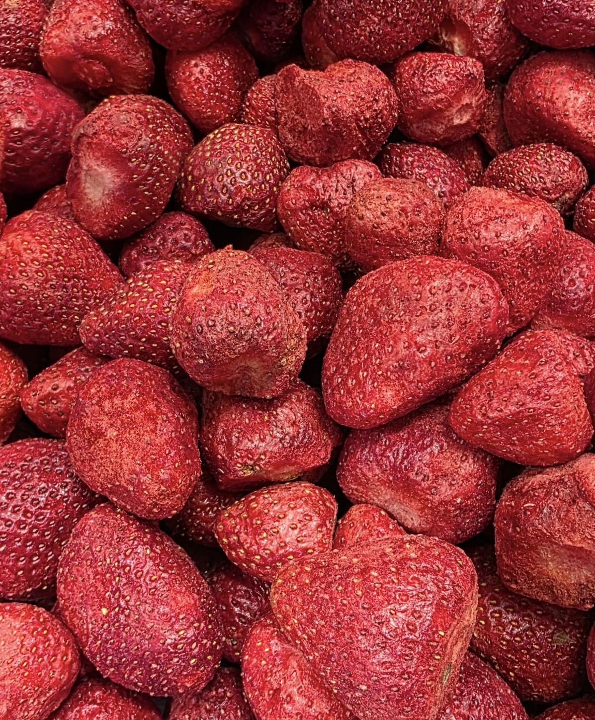طراوت‌ با میوه های خشک کرشمه