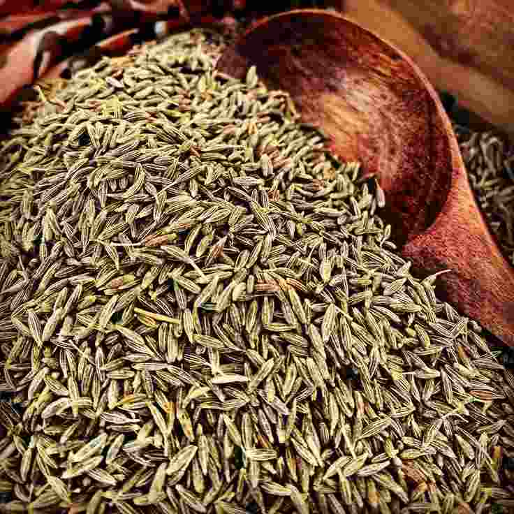 تصویر 3 از خرید زیره فله‌ ای مستقیم از مزرعه