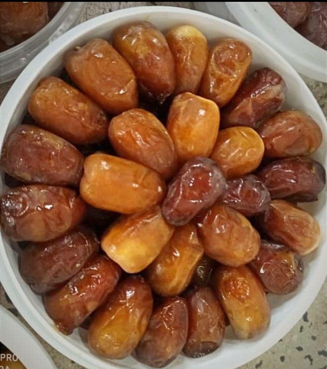 خرید خرما رطب کبکاب ظرفی + قیمت ویژه