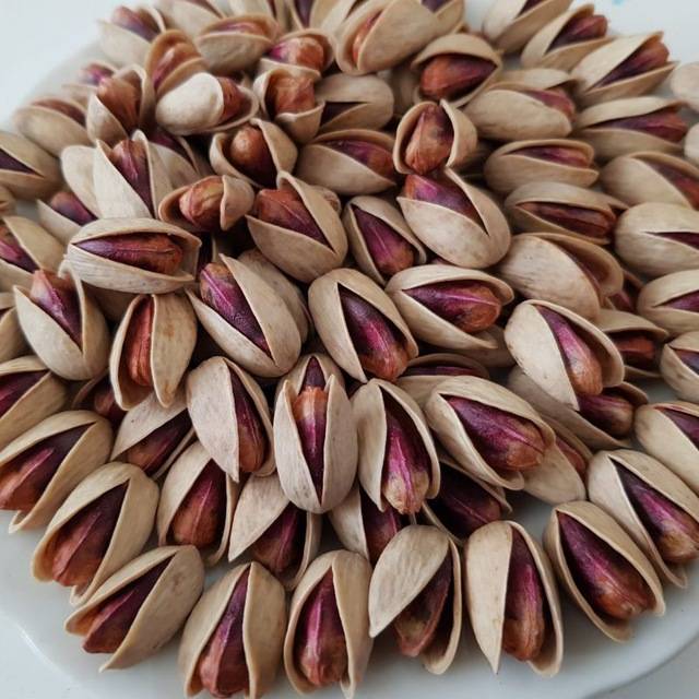 تصویر 3 از پسته اکبری انس 18 انتخاب محبوب برای فروشگاه‌ ها و بنکداران حرفه‌ ای