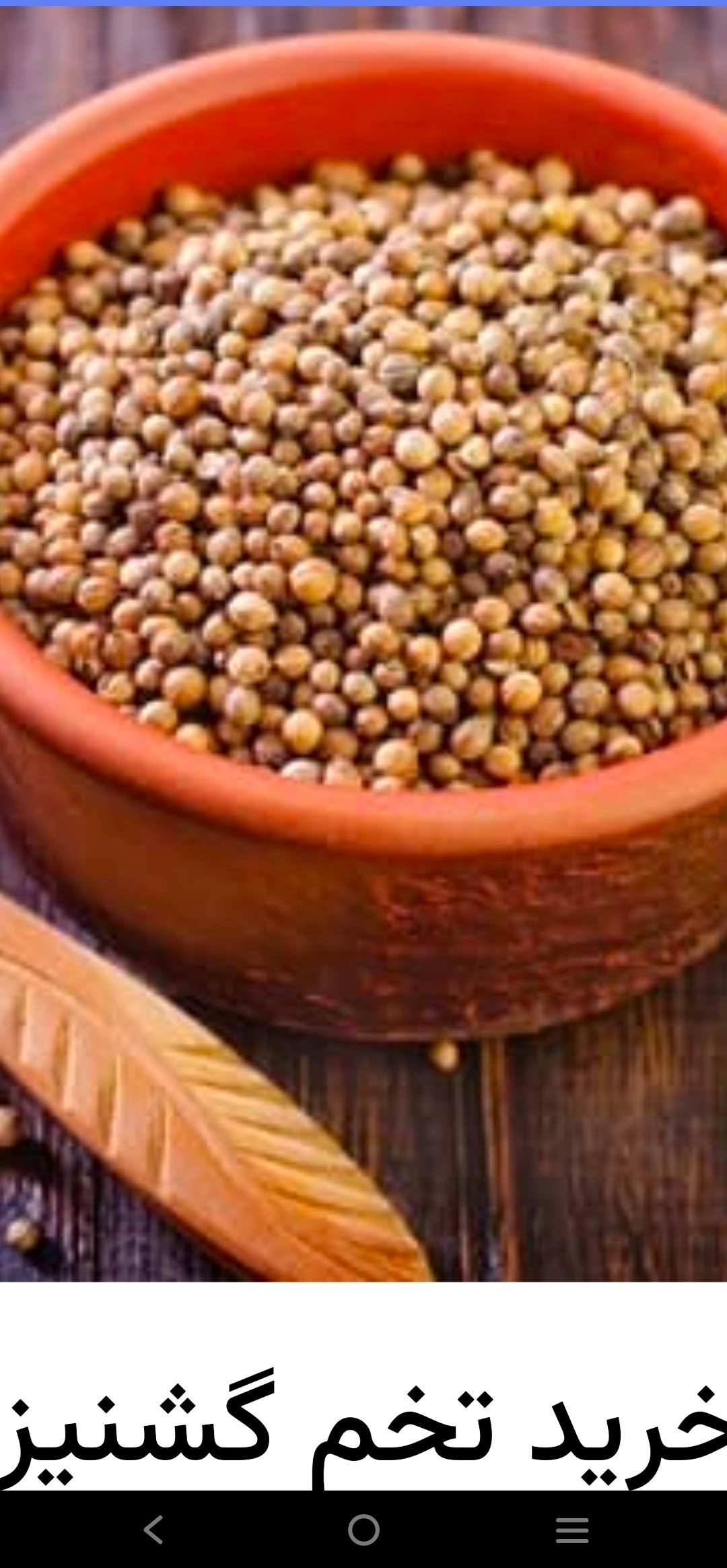 تصویر 1 از فروش تخم گشنیز زرین کنگاور