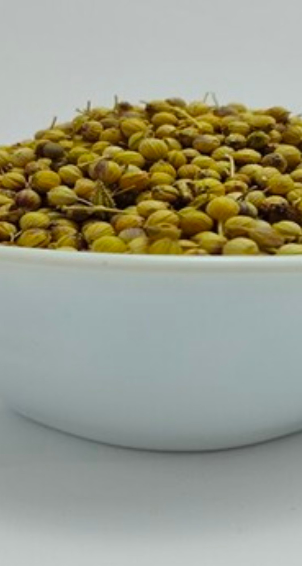 تصویر 1 از بذر های توپی گشنیز عمده کنگاور جهت فروش
