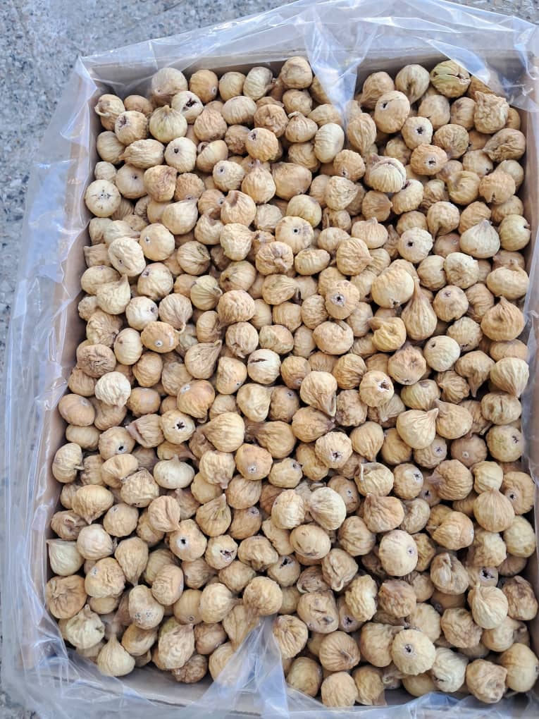 تصویر 2 از خرید انجیر خشک روشن + قیمت فروش استثنایی