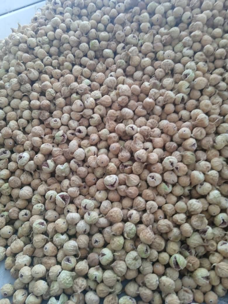 تصویر 2 از قیمت انجیر خشک صادراتی باکیفیت + قیمت فروش عمده