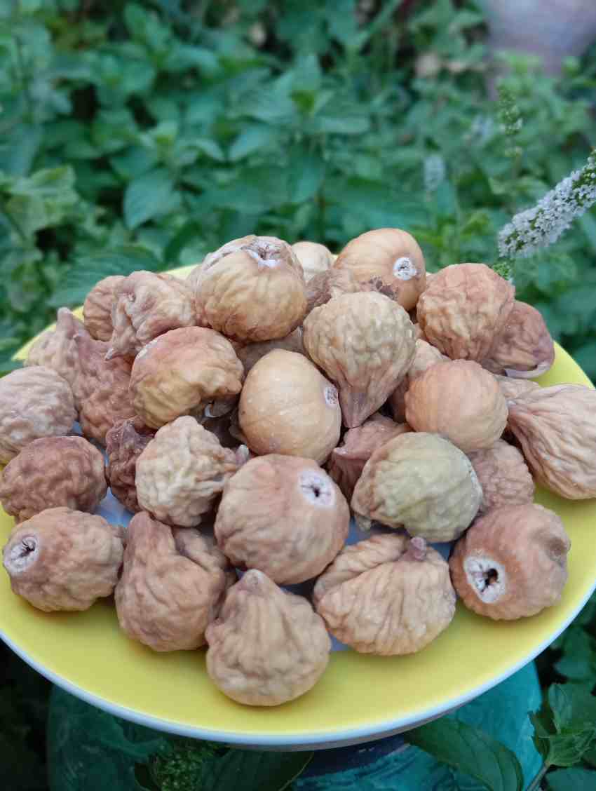 تصویر 4 از خرید انجیر خشک ریز استهبان با کیفیت بالا و قیمت بینظیر