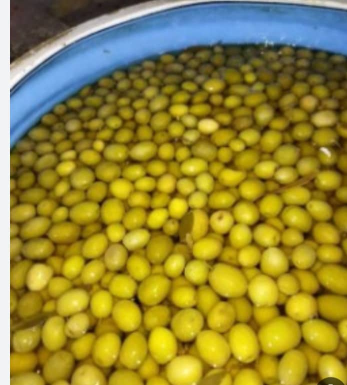 تصویر 1 از زیتون با هسته خیلی درشت