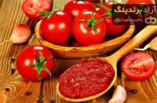 تصویر 2 از رب گوجه فرنگی مکنزی + باکس 12 عددی