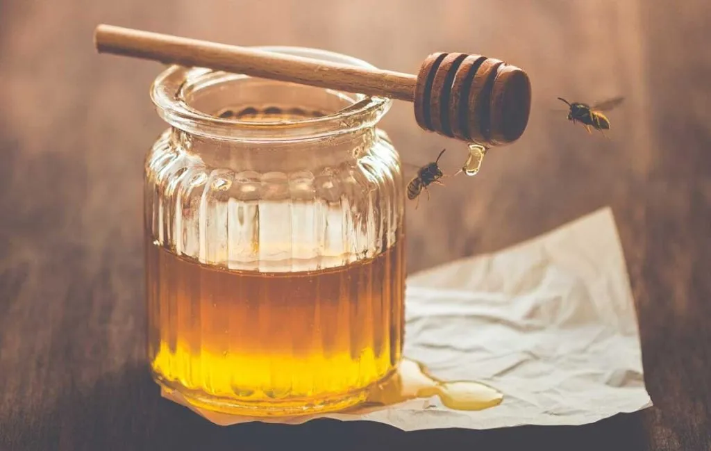 قیمت عسل زول + شیشه های ۶۵۰ گرمی