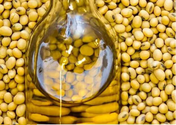 قیمت خرید عمده روغن خام سویا مخصوص دام
