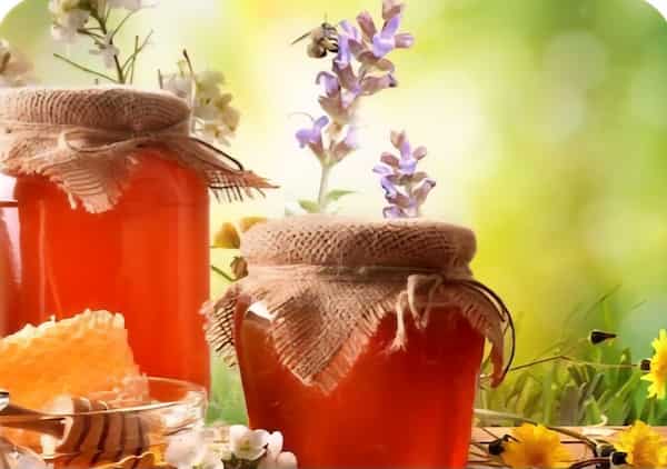 تصویر 2 از خرید وقیمت عسل گون صادراتی