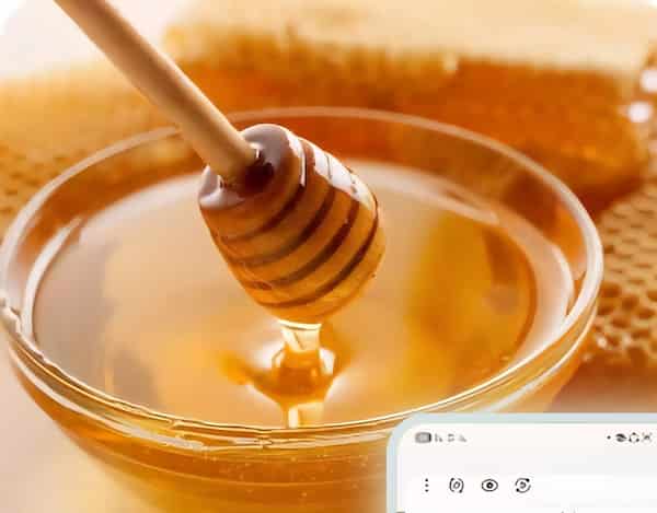 تصویر 5 از خرید وقیمت عسل گون صادراتی
