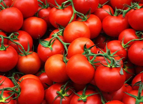 گوجه خوشه ای