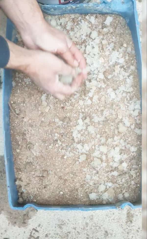 تصویر 2 از هیدروژل کشاورزی قیمت