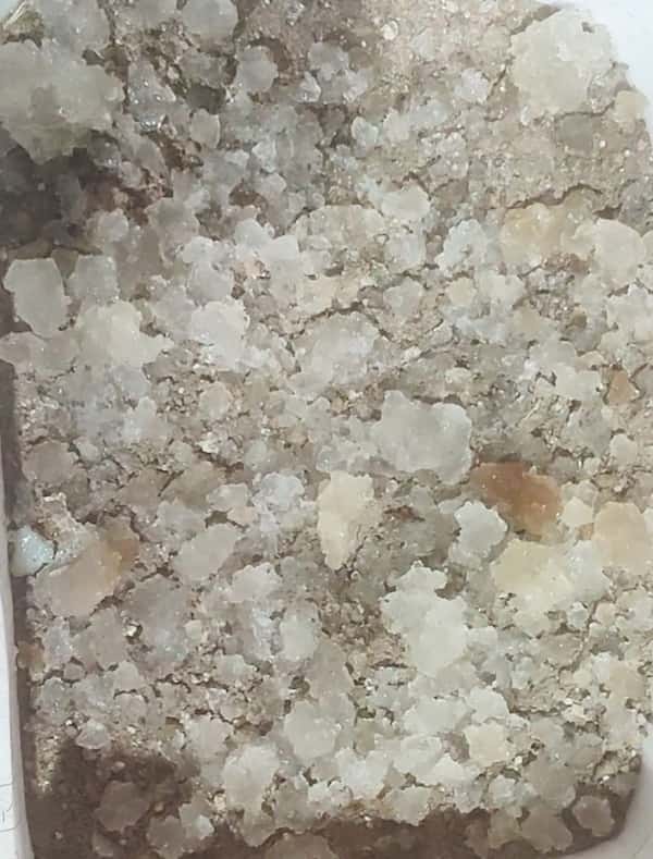تصویر 1 از هیدروژل کشاورزی قیمت