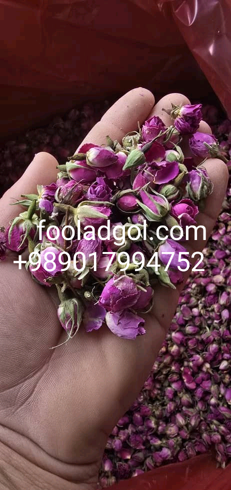 خرید غنچه خشک مستقیم از کشاورز