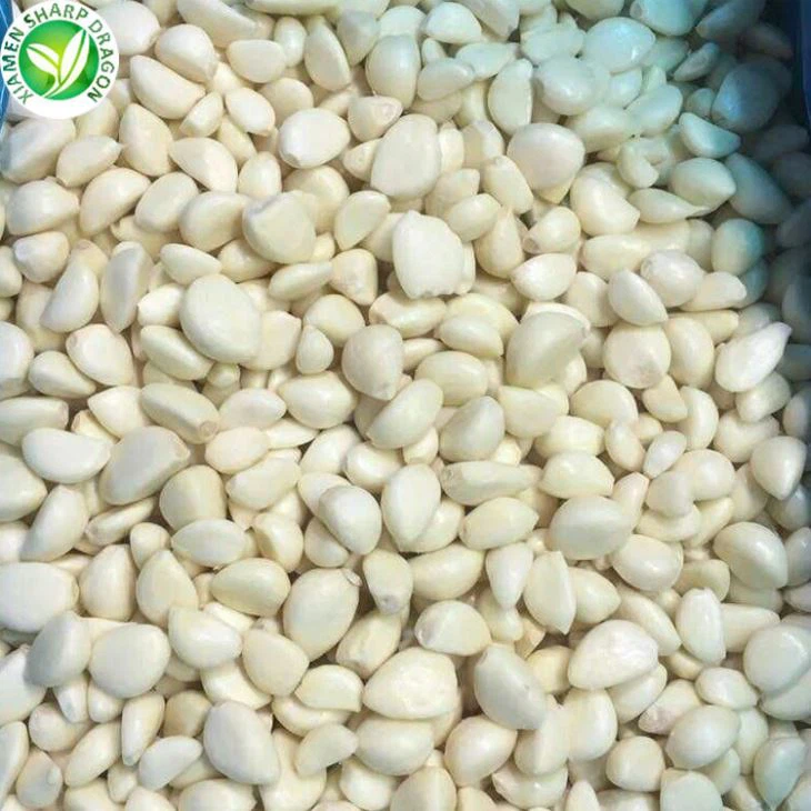 تصویر 2 از قیمت فوق العاده گل سیر قرمز