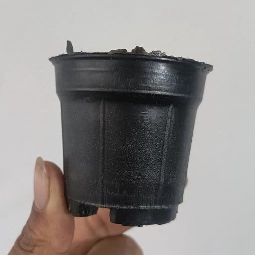 تصویر 3 از خرید انواع گلدان پلاستیکی نشایی بدون واسطه