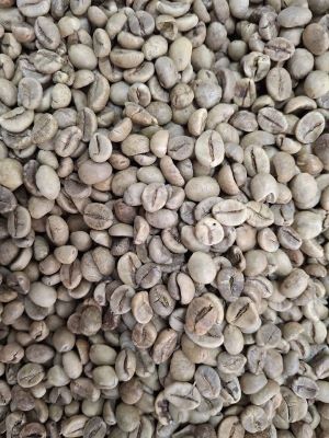 تصویر 1 از خرید دان سبز قهوه ویتنام