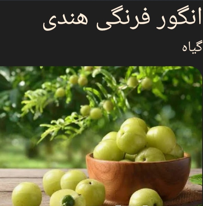 تصویر 2 از خواص گیاه آمله هندی + قیمت خرید