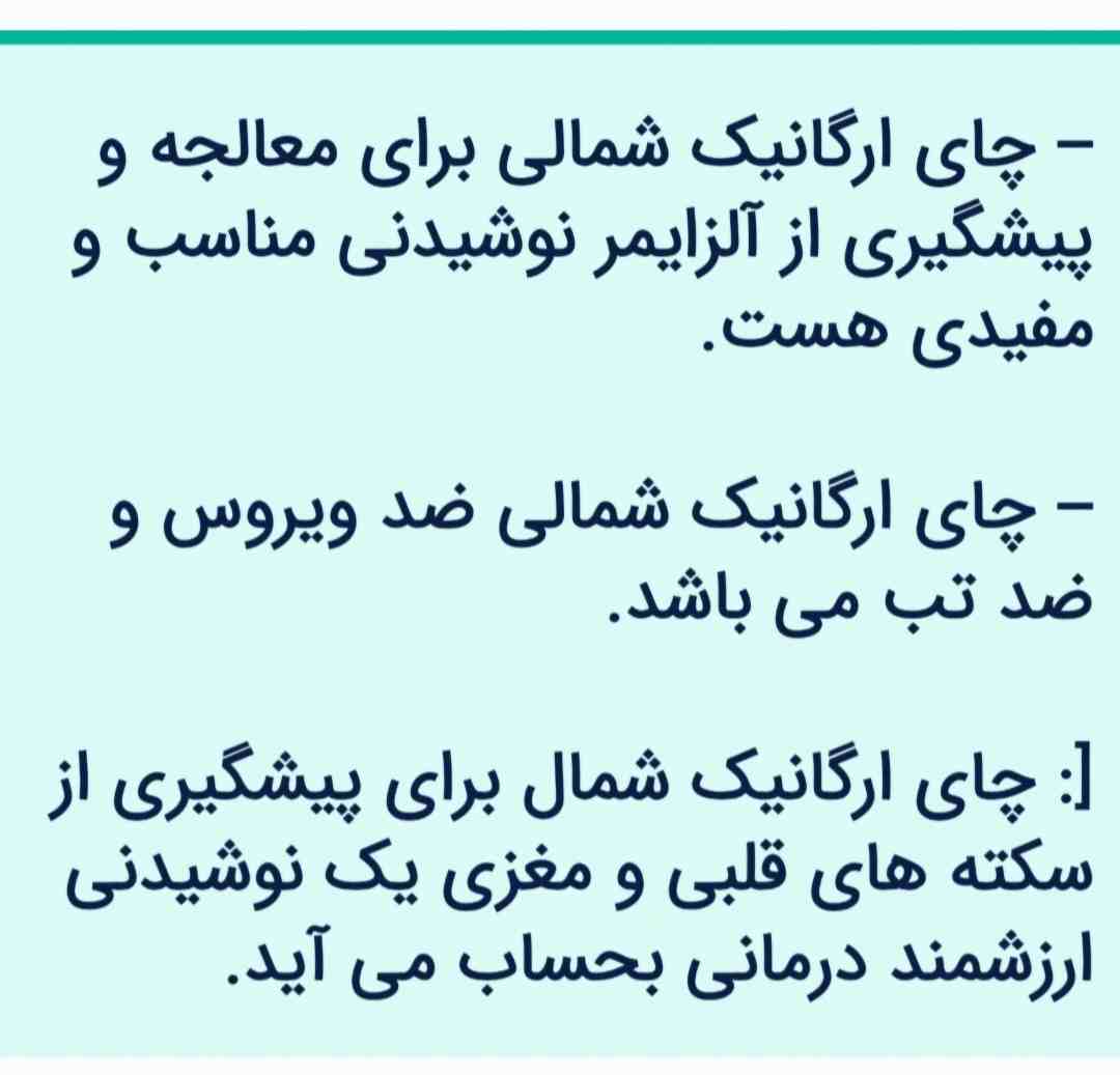 تصویر 1 از فروش عمده چای سبز شمال