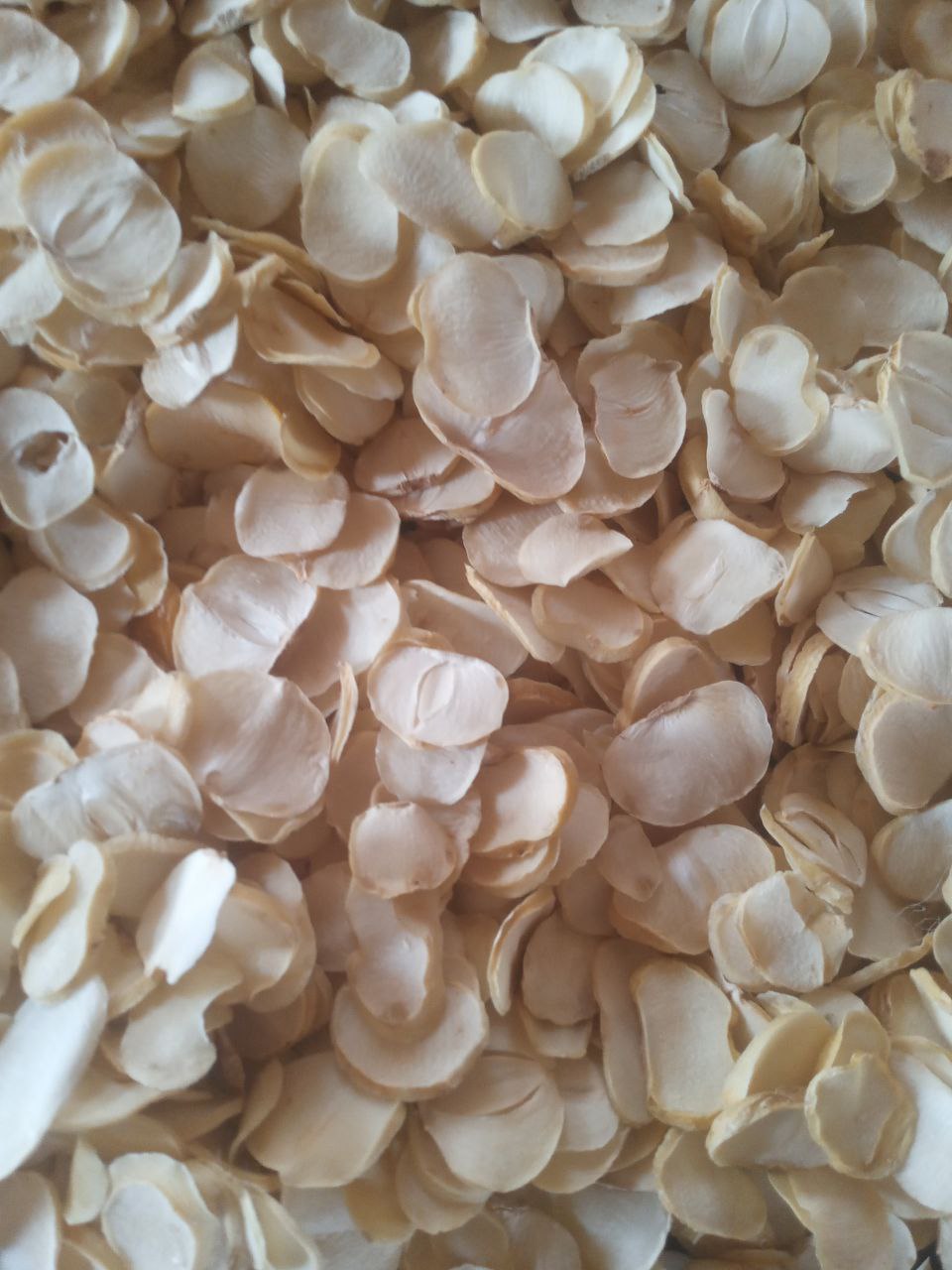 تصویر 2 از موسیر کوثر