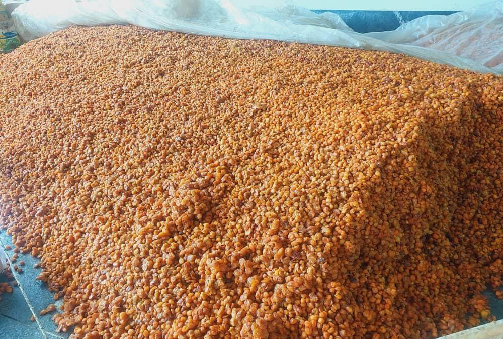 تصویر 1 از ضایعات آلو بخارا خرید