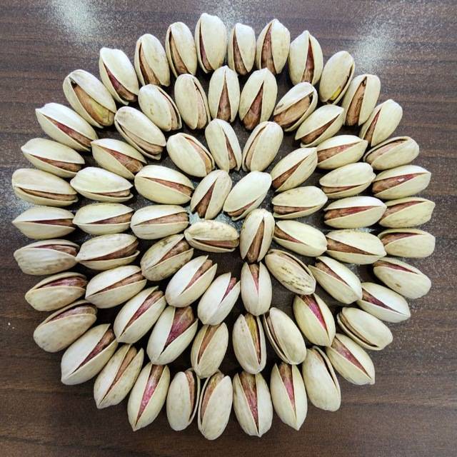 تصویر 1 از پسته اکبری + خرید و فروش عمده