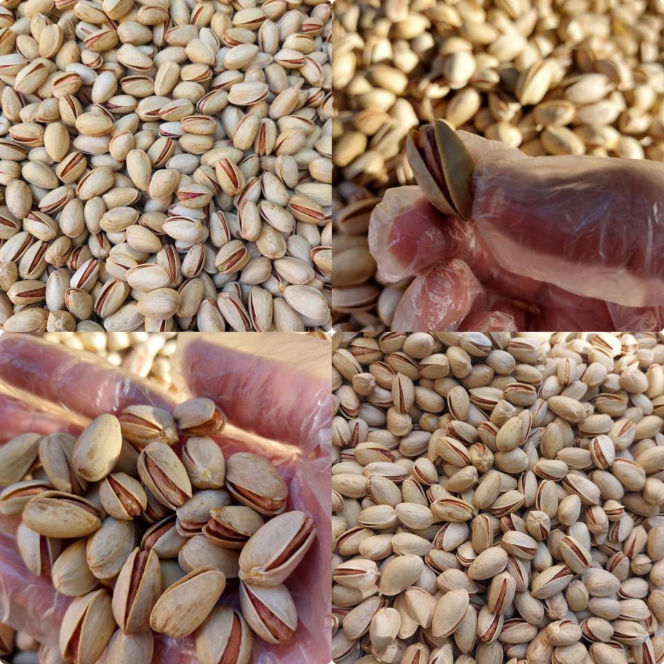 پسته اکبری درجه یک مخصوص بازار داخلی