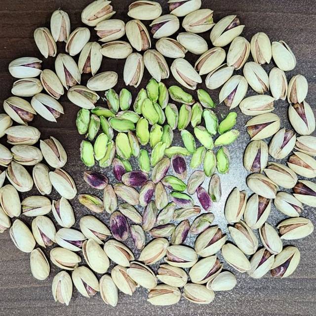تصویر 1 از قیمت پسته اکبری خام + خرید باور نکردنی