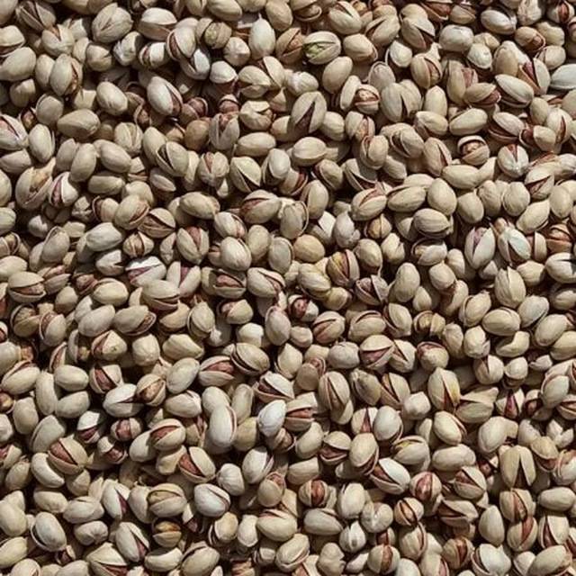 تصویر 1 از قیمت پسته فندقی عمده با کیفیت ارزان + خرید عمده
