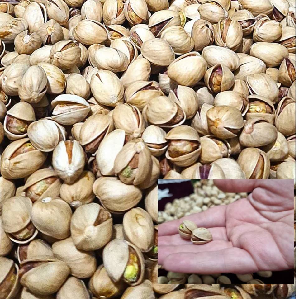 تصویر 1 از قیمت خرید پسته فندقی کله قوچی با فروش عمده