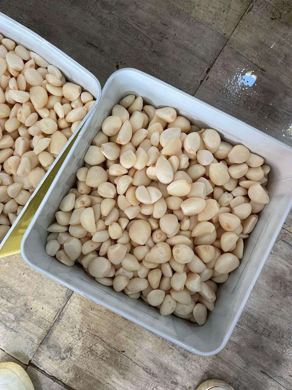 تصویر 1 از قیمت سیر سفید خشک